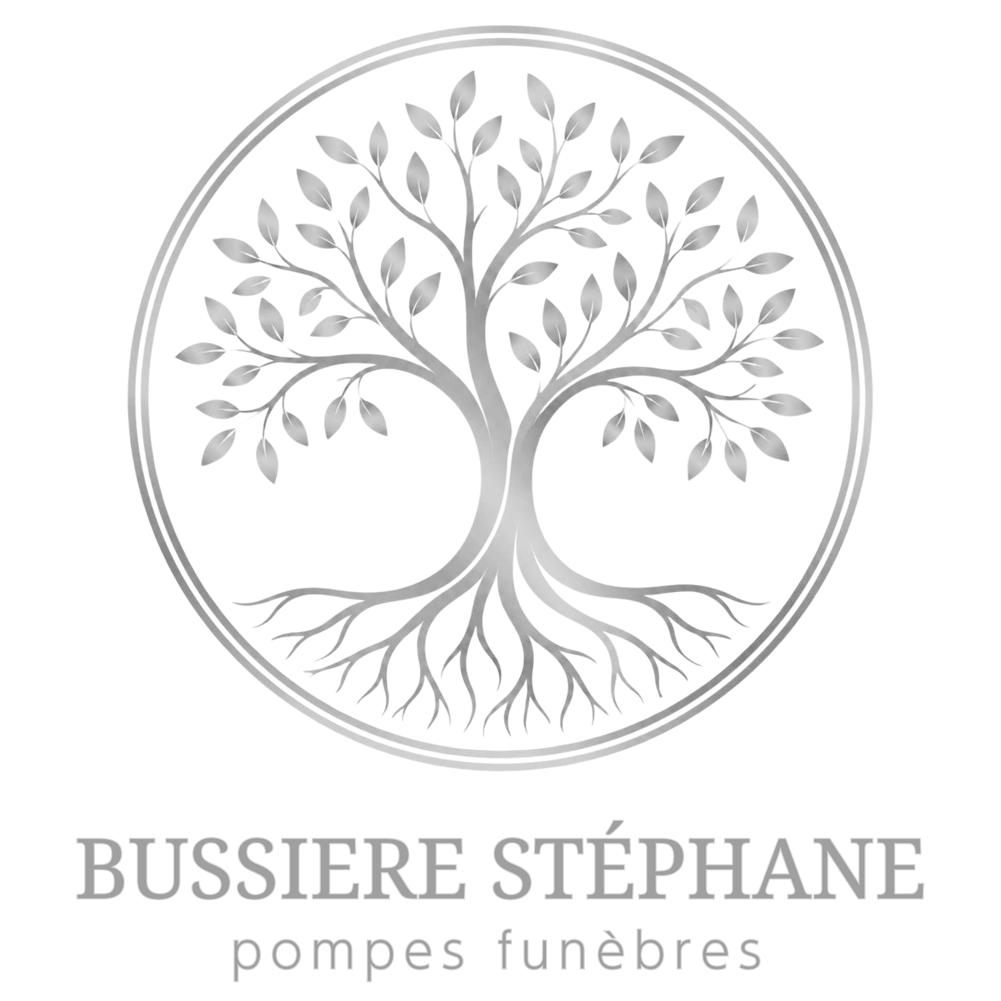 Logo de BUSSIERE STEPHANE