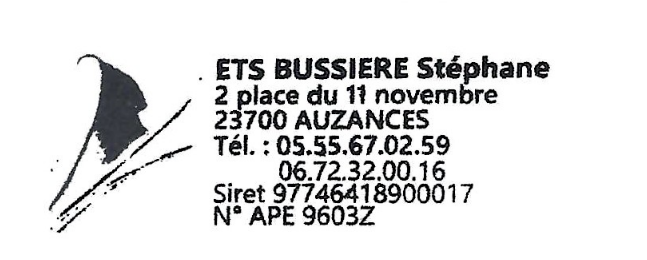 Logo de BUSSIERE STEPHANE