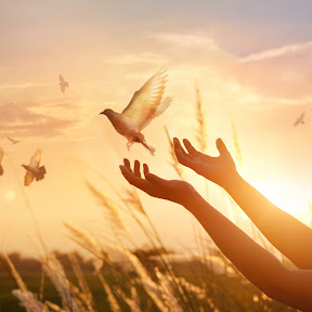 Logo de la pompe funèbre : Pompes Funèbres Conchou - Agence Bergerac